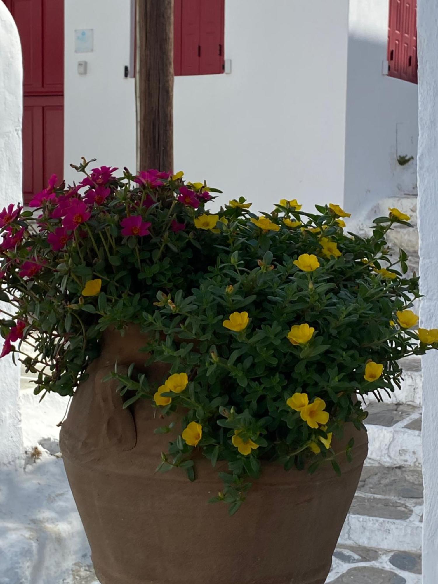 Pensione Della Nonna Mykonos Town Eksteriør billede